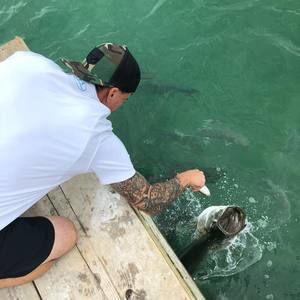 Meet your Posher, Graham